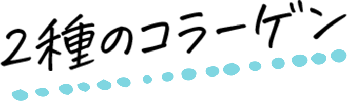 2種のコラーゲン