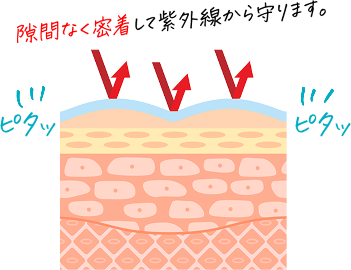 隙間なく密着して紫外線から守ります