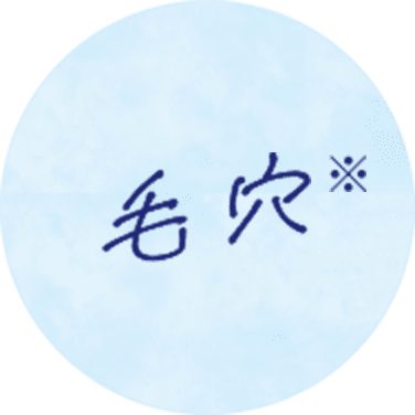 毛穴※