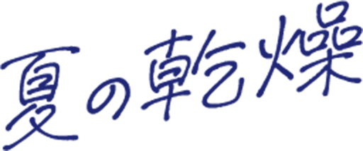 夏の乾燥