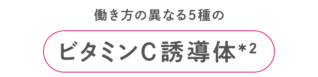 美肌力を高めるビタミンC誘導体